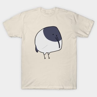 Ibis orb T-Shirt